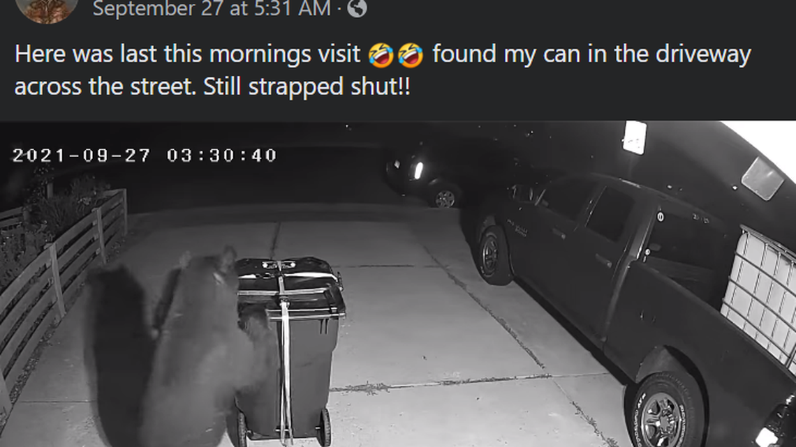 A Colorado Springs man shared surveillance footage of a black bear stealing his trash can.