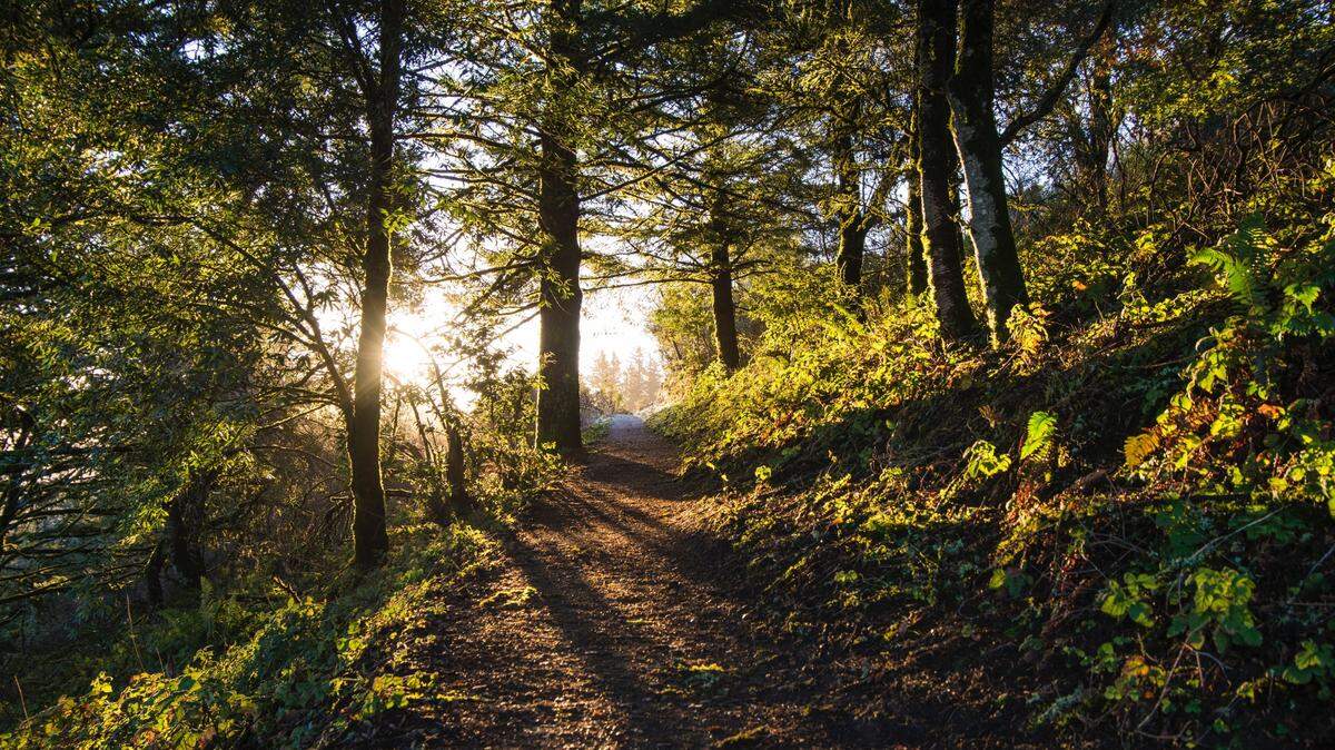 A hiker lost consciousness after she was impaled by a stick, New Hampshire officials said.