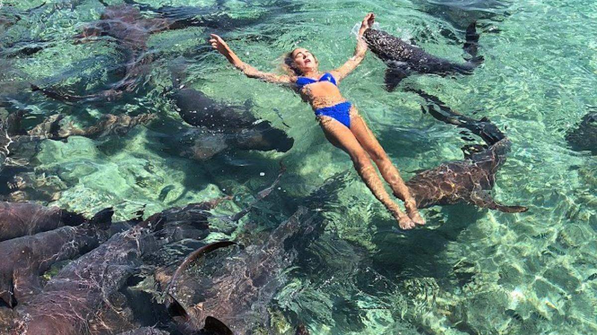 A nurse shark latches onto Katarina Zarutskie's left arm during her vacation in the Bahamas.