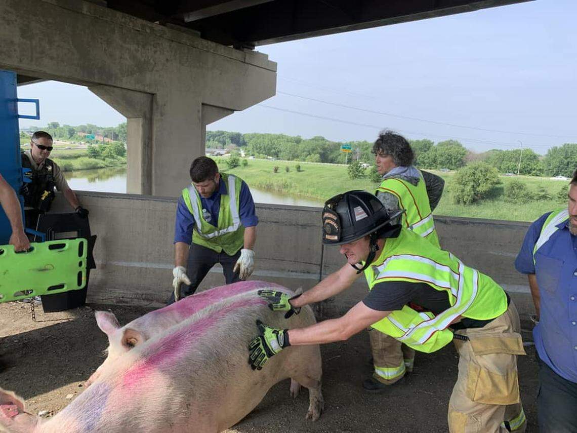 “This is a perfect example of how you can never say that ‘You’ve seen it all,’” firefighters said.