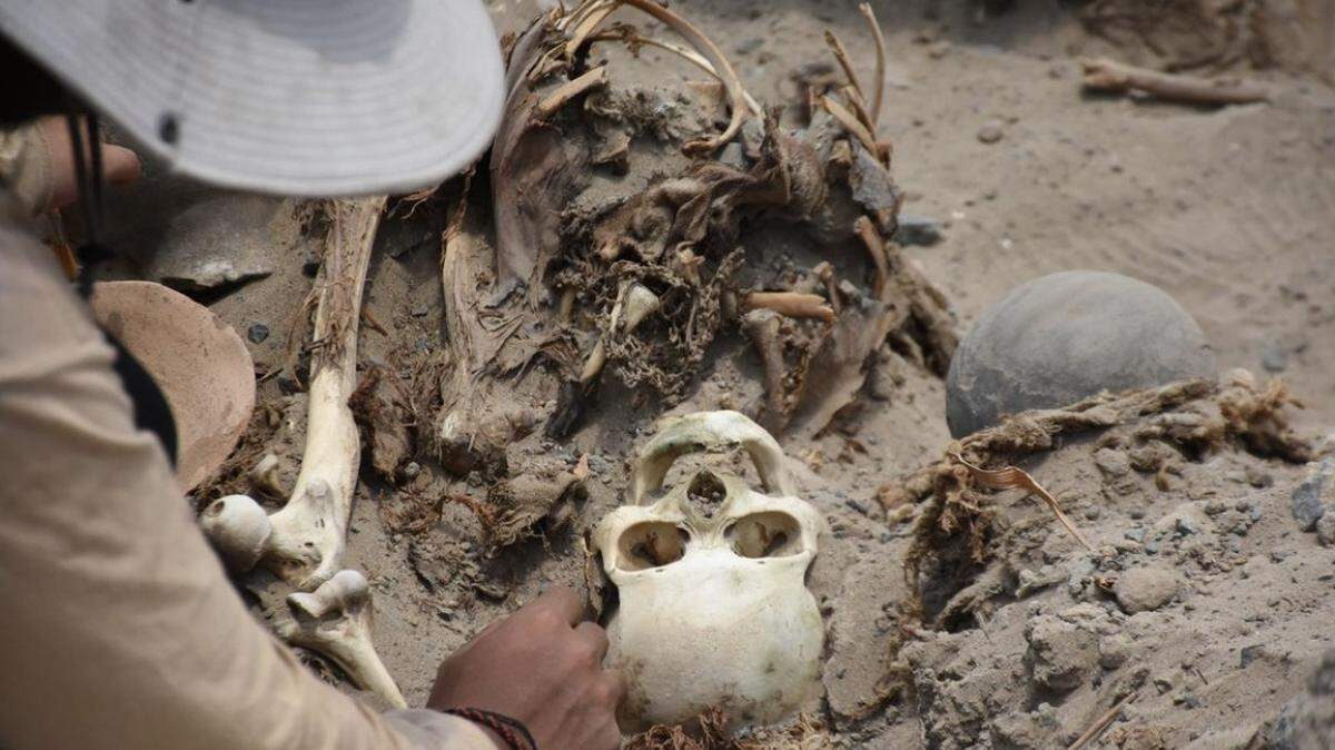 An 800-year-old tomb belonging to members of the Chancay people, a pre-Hispanic civilization, was recently unearthed in Peru, according to university researchers.