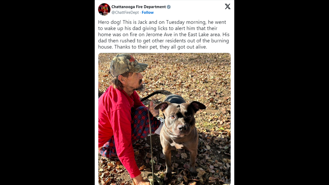 A dog is being praised for saving his family from a housefire, Tennessee firefighters said.