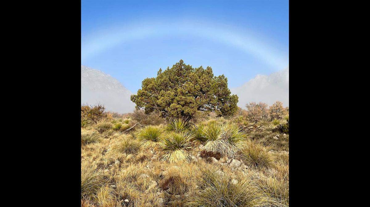 A fogbow, which is sometimes called a white rainbow or a ghost rainbow, spanning across the sky in Guadalupe Mountains National Park. Photo courtesy of Holly Olds.