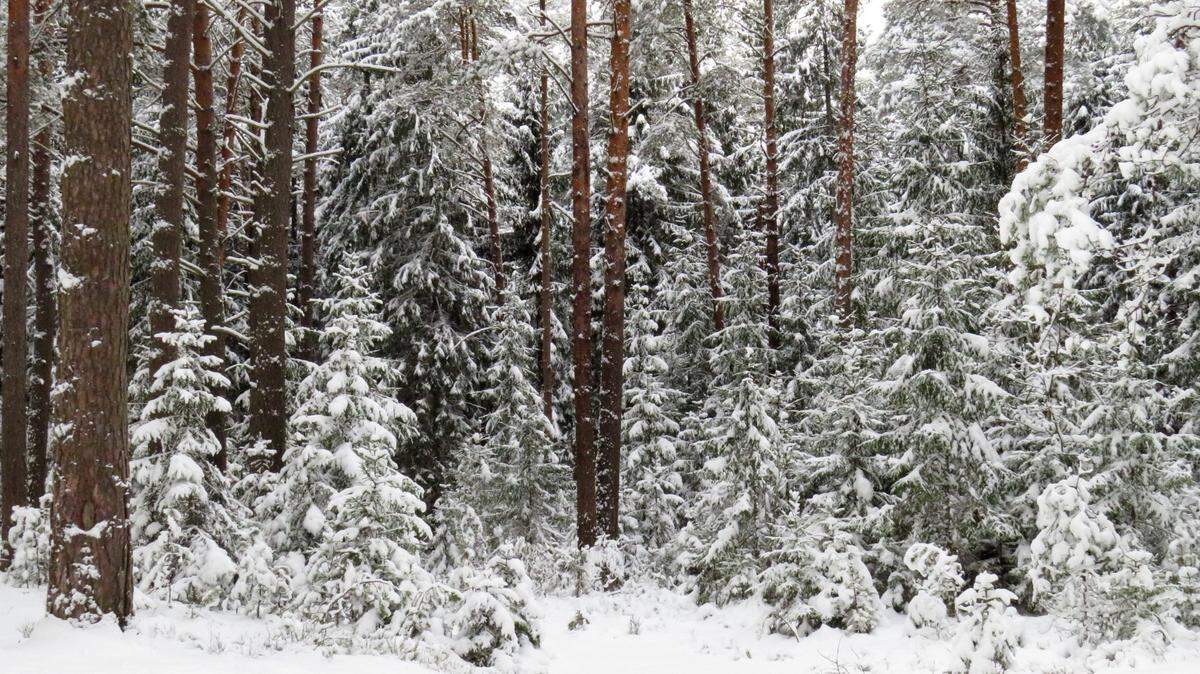 The man was taking a different route home than usual when he noticed a white figure off the side of the road.