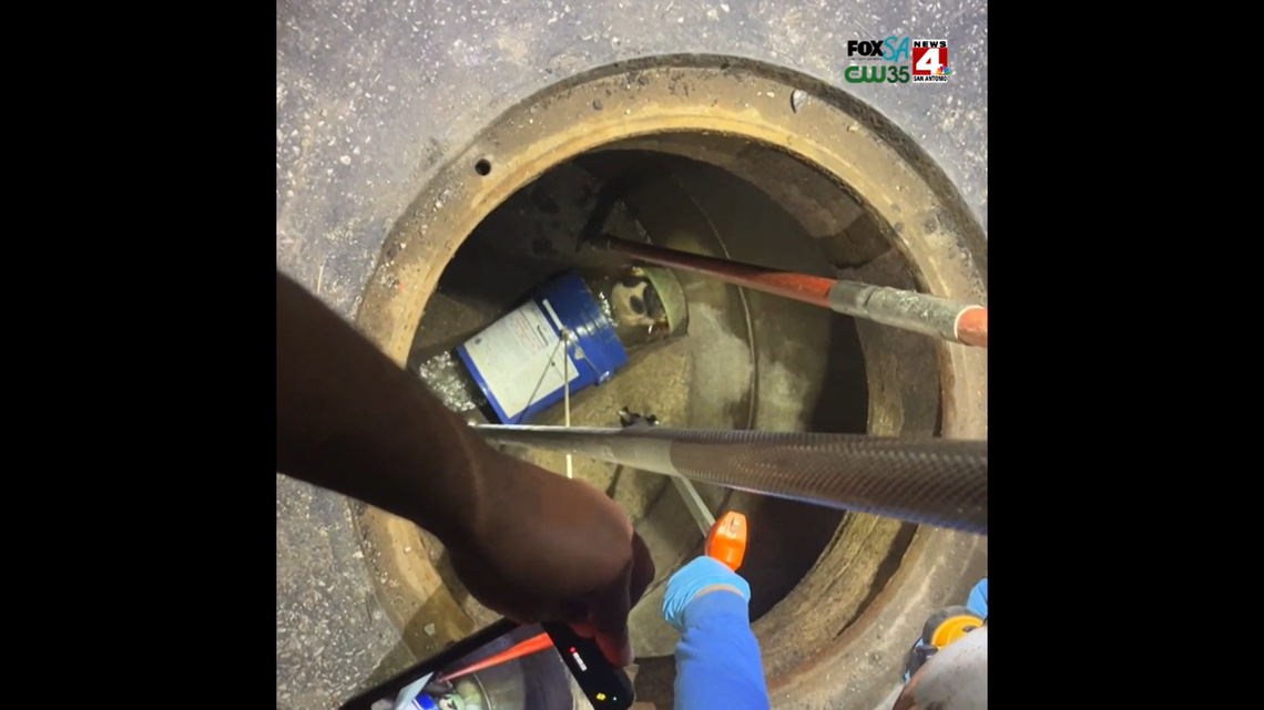 Puppy rescued from sewer pipe