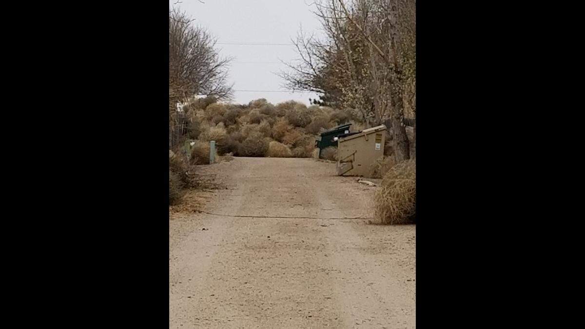Tumbleweeds formed a wall in an alley behind a Garden City, Kansas, resident’s home after blowing into the town. Photo from Carmen Morillo Hickman.