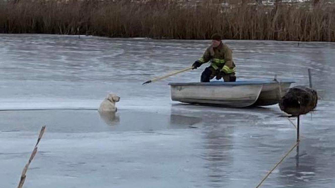 A dog plunged into an icy pond about 40 yards from the shoreline in Oregon, officials said.