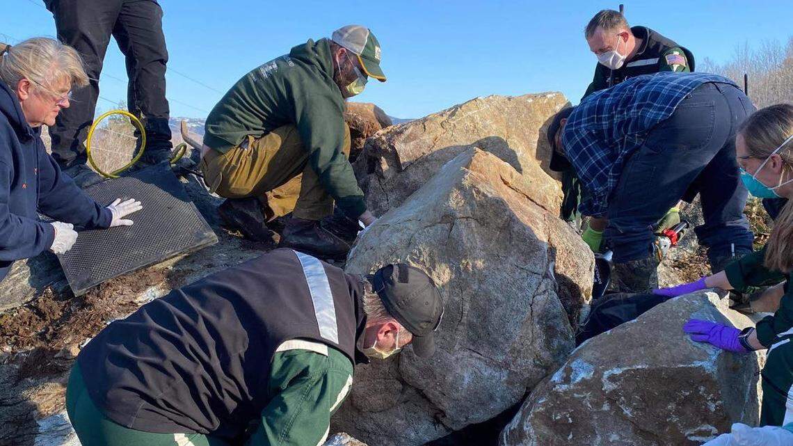 A hiker needed to be rescued after he fell between rocks and became pinned, Maine officials said. He was trying to take a photo on top of the rocks when they shifted, officials said.