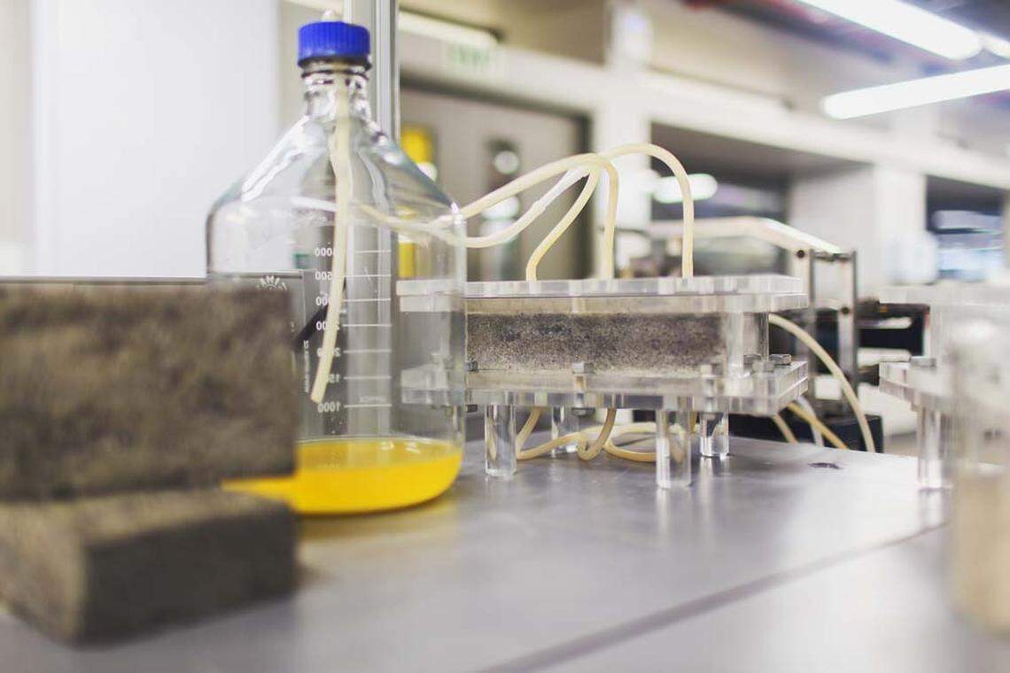 Researchers said the chemical process that makes bio-bricks is similar to the process that produces seashells.