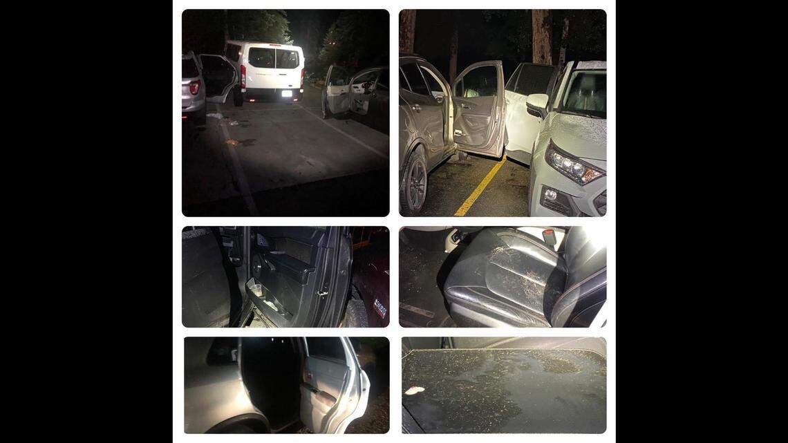 A bear opened and got into eight cars in Estes Park, Colorado, in one night, Parks and Wildlife said.