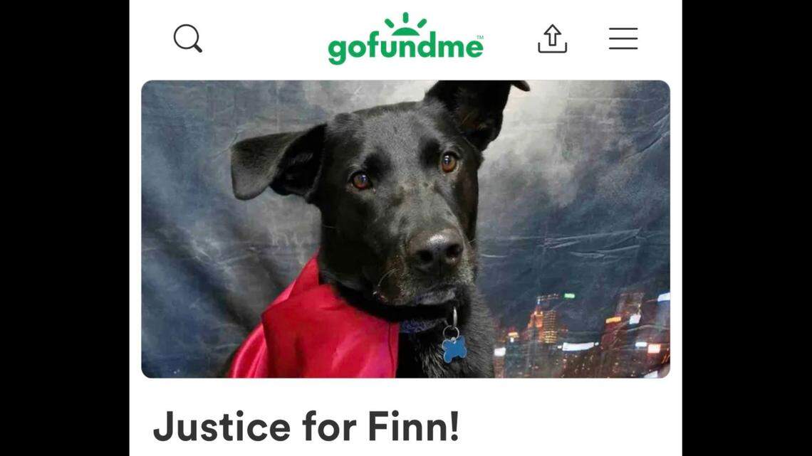 Police in Waco, Texas, shot and killed a dog after mistakenly responding to the wrong address, police said.