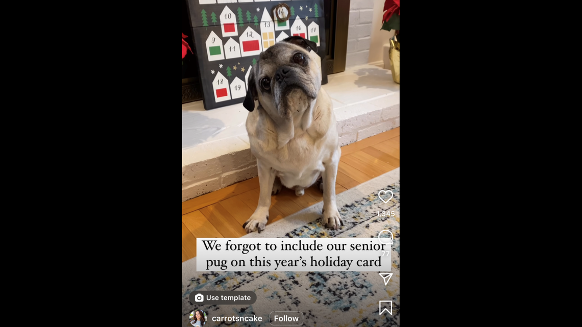 A family left their elderly dog, Murphy, out of their holiday dog. Friends immediately expressed their concern.