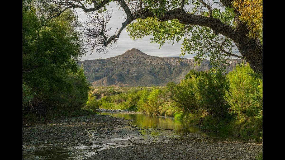 Brad Kelley, owner of Brewster Ranches, wants to find a conservation land buyer for the 420,000-acre property in West Texas.