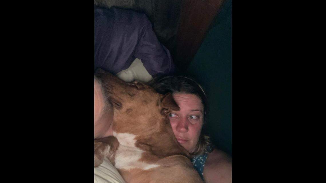 A Tennessee woman woke up one morning to find a dog sleeping with her and her husband. But the couple, who own three dogs themselves, quickly realized this one didn’t belong to them.