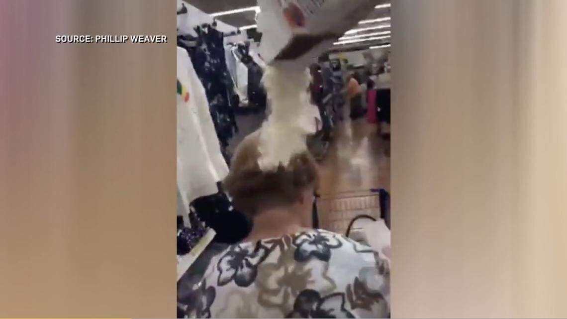 Phillip Weaver, 22, sneaked up behind the woman at 10:20 a.m. and quickly dumped a package of flour on her head while recording the entire incident, according to a police report.