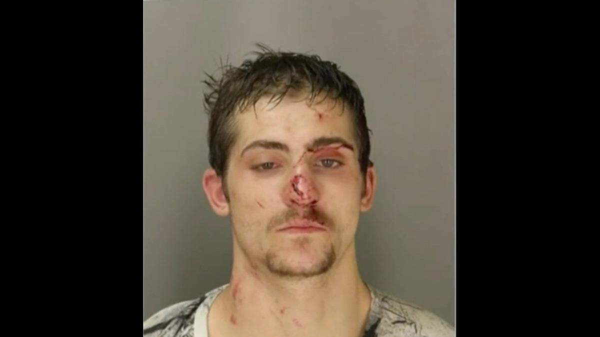 A man suspected of breaking into multiple cars and stealing from them was arrested Wednesday after putting up a fight and trying to disarm officers in Shelby Township, Michigan, police said. He faces receiving or concealing stolen property charges.