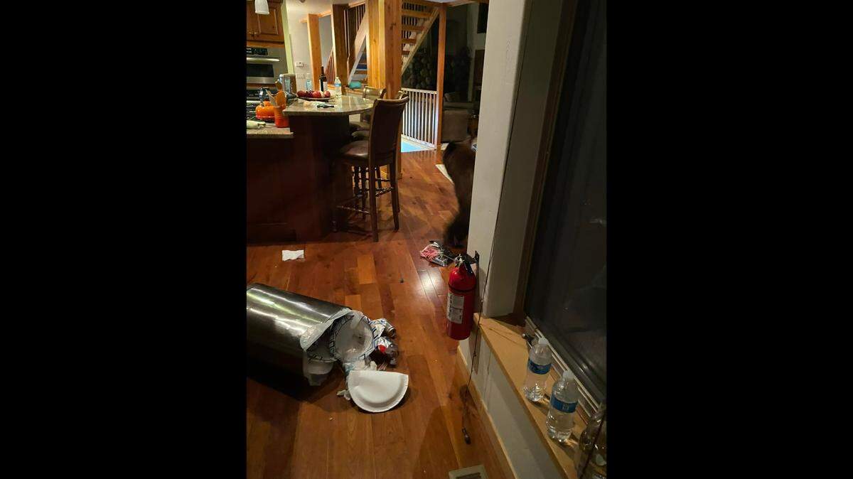 An ‘extremely aggressive’ bear snuck into a California AirBnB and rifled through the house looking for food, California Highway Patrol said.