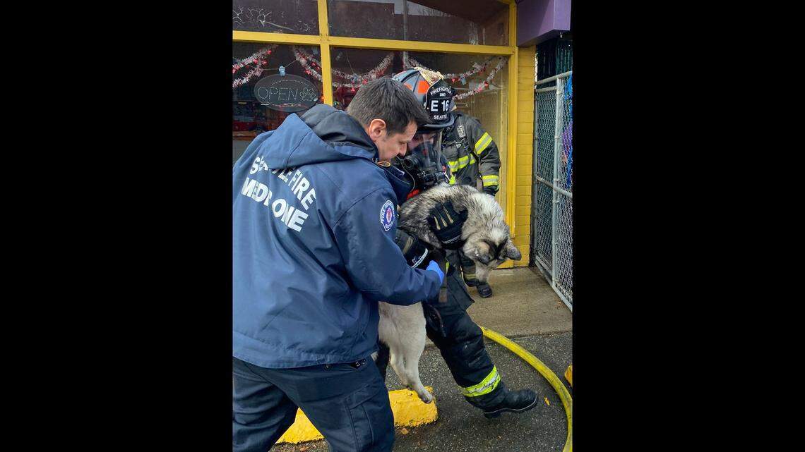 Firefighters saved 115 dogs from a burning doggy daycare facility in Washington. They provided “life-saving efforts” for four of them, according to the Seattle Fire Department.