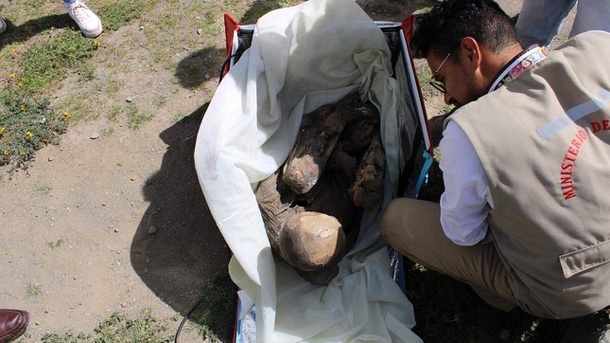 The mummy was wrapped in cloth and was in the fetal position inside the food delivery bag.
