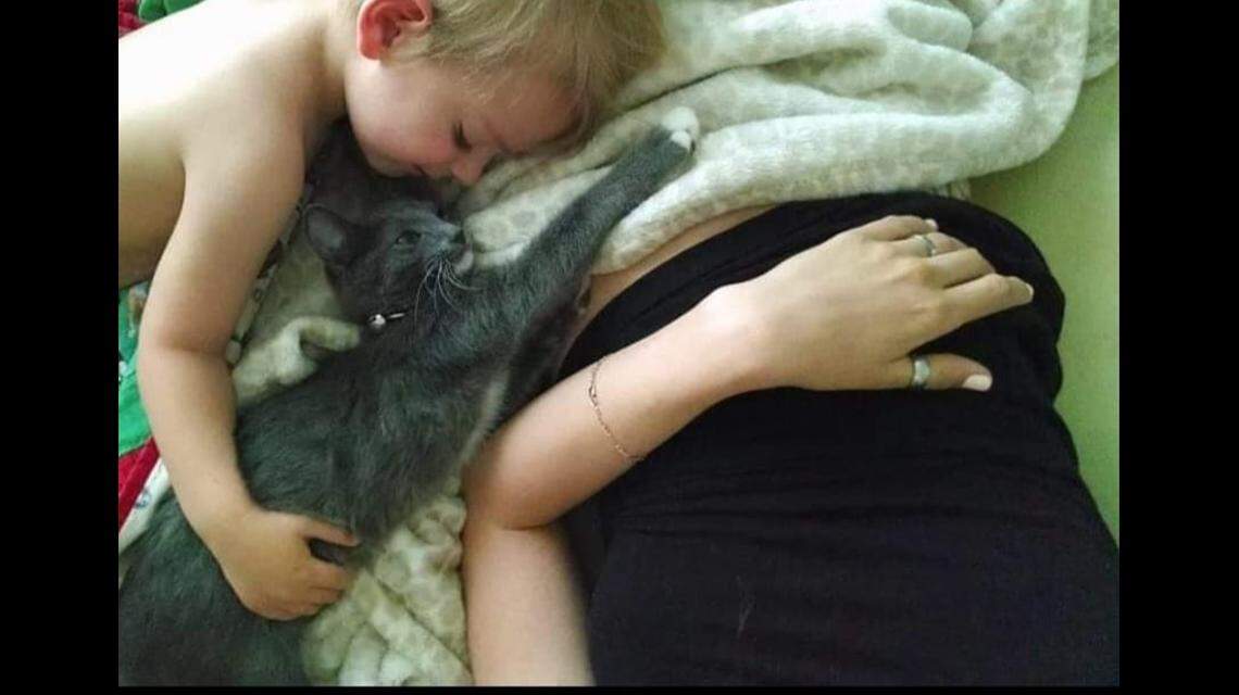 Taylor Jezik's son, Charlie, was a close companion to Meow, she said. Photo from Taylor Jezik.