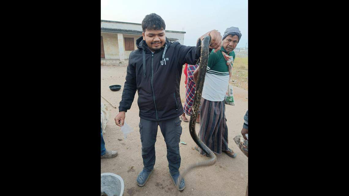 A new species of burrowing eel was recently discovered following a survey of canals and lagoons in India, according to a new study.