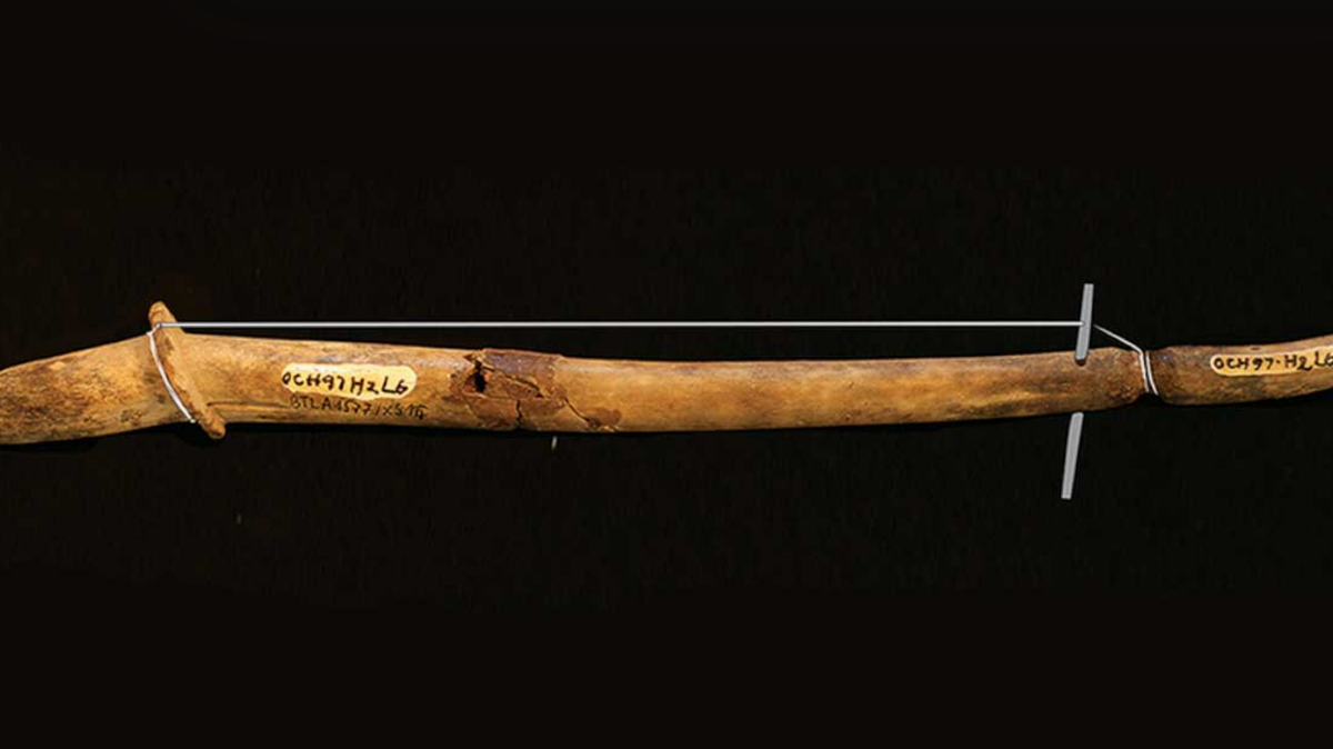 A 2,000-year-old instrument - likely one of the oldest in Southeast Asia - was discovered in Vietnam, researchers say