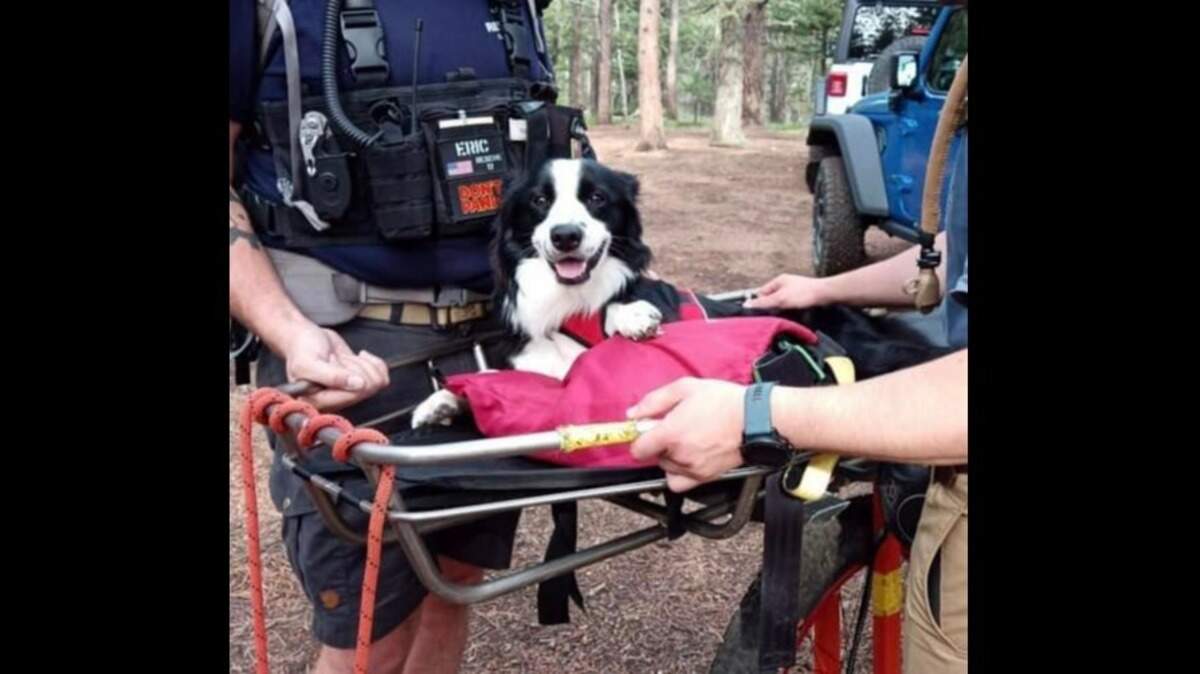 A man carried his dog for “many miles” in Colorado before the two were rescued.