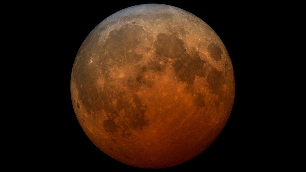 Howling in the night is expected to increase in North Carolina around Halloween, as young coyotes leave their packs and move into new territories, the state reports.