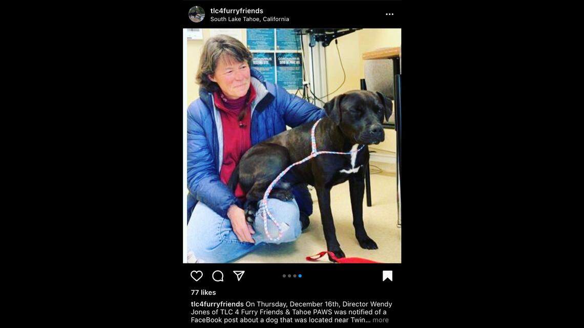 A dog who was separated from his owner during the Caldor Fire was reunited with him after several months.