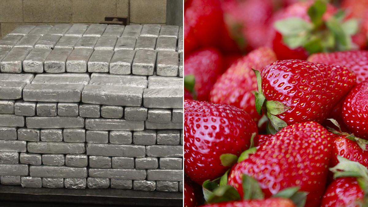 411kg, or 906 pounds of methamphetamine, was seized from a shipment of frozen strawberries at the Pharr-reynosa International Bridge.