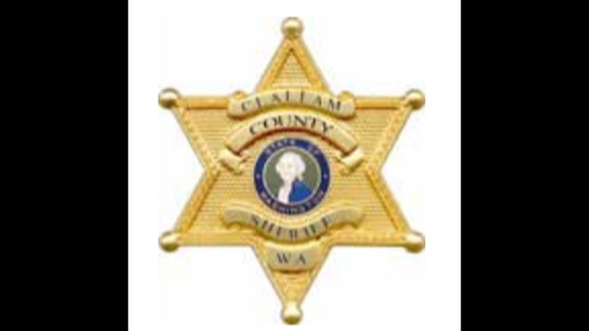 The Clallam County Sheriff’s Office said a multiracial family from Spokane, Washington, was confronted by a mob of people, who accused them of being part of Antifa. The mob followed them to a campsite in Forks and cut down a tree to trap the family.