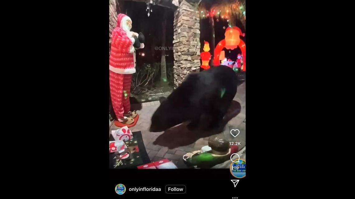 A bear stole “all the nuggets” off a Florida porch, but decided to pass on the salad, video shows.