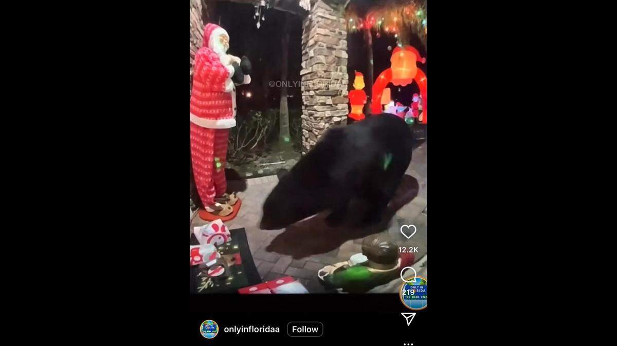 A bear stole “all the nuggets” off a Florida porch, but decided to pass on the salad, video shows.
