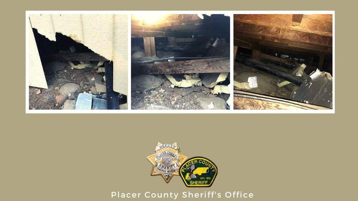 A mama bear and three cubs peeled siding off a California home and lived in the basement until they broke a gas line, prompting a call from a neighbor.