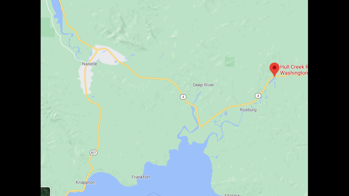 A ‘lost’ sea lion wandered onto SR 4 near Naselle, Washington and blocked cars, according to police.