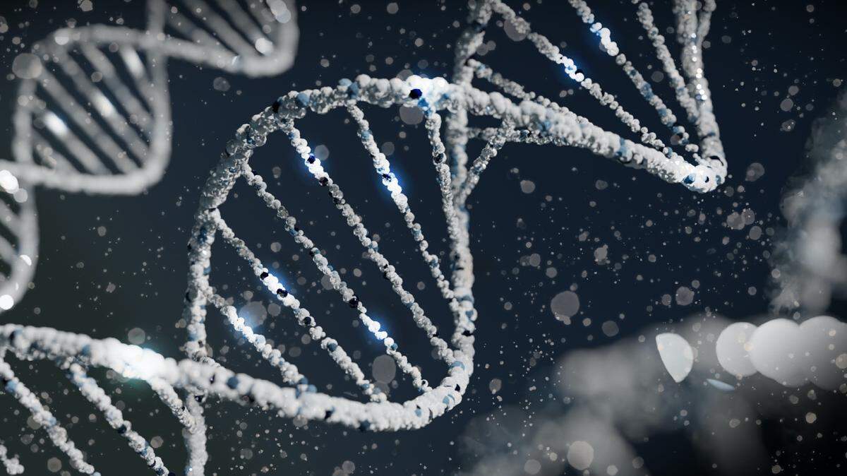 Scientists used carbon-14 dating to discover the age of the bone.