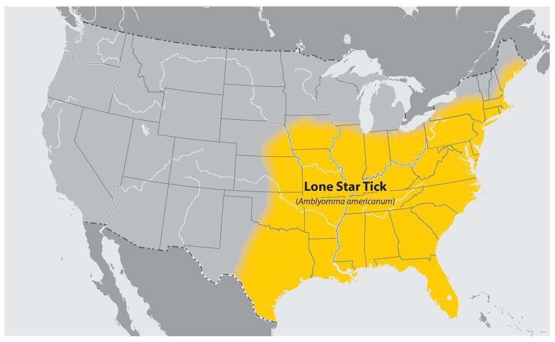 The lone star tick can be found through much of the eastern third of the United States