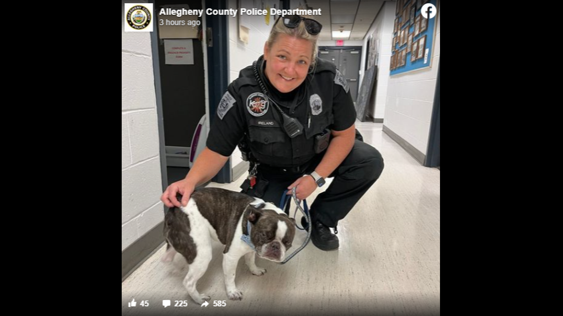 The dog was left in a stroller in the short-term parking area of the airport, police said.