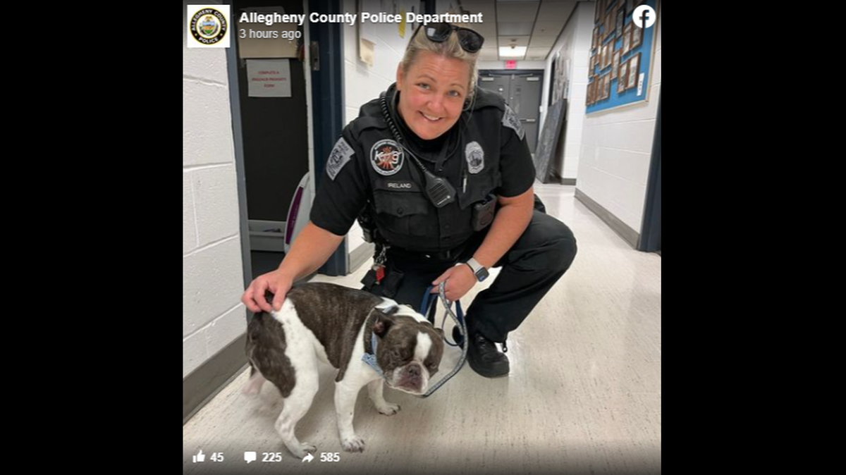 The dog was left in a stroller in the short-term parking area of the airport, police said.