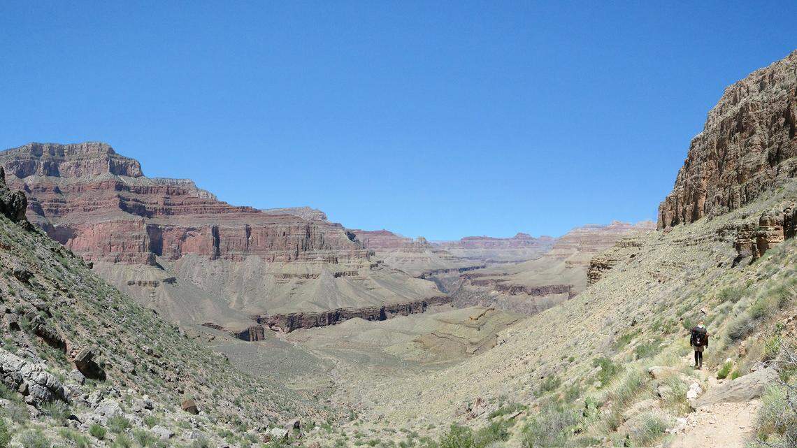 A 53-year-old backpacker died after experiencing heat illness and becoming disoriented in the Grand Canyon.