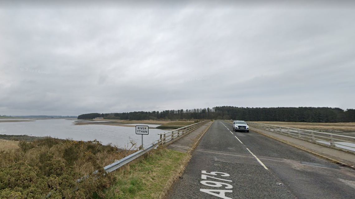Elvis, a king eider duck that visits northern Scotland annually, has eluded a wildlife photographer for years.