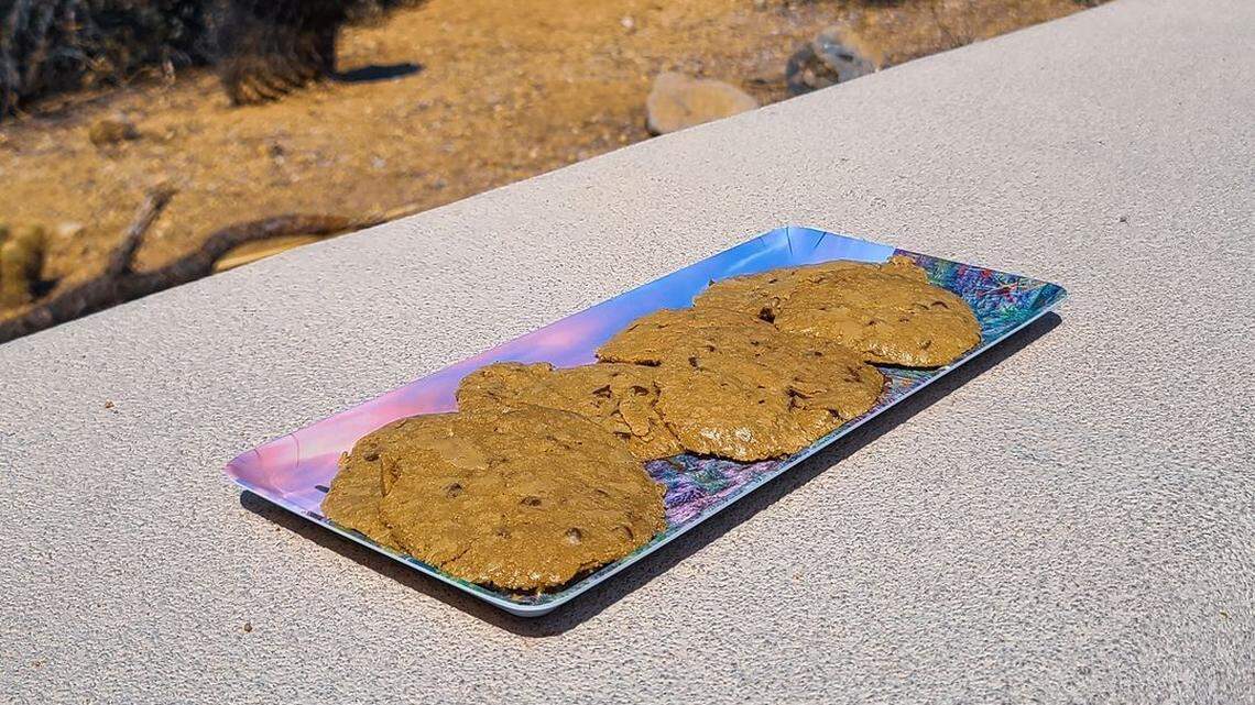The heat in the West is so extreme that Saguaro National Park officials baked a sheet of cookies on the dashboard of a car.