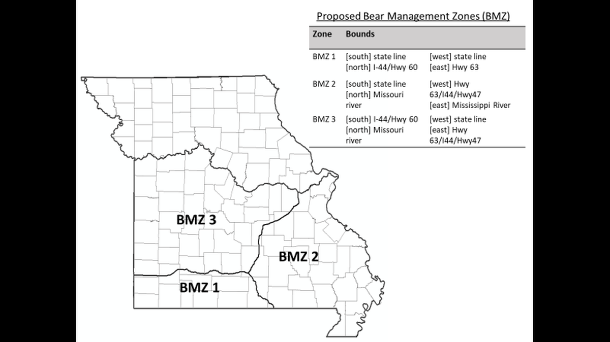 The Missouri black bear hunting season will be divided across three “bear management zones.” Photo from Missouri Department of Conservation.