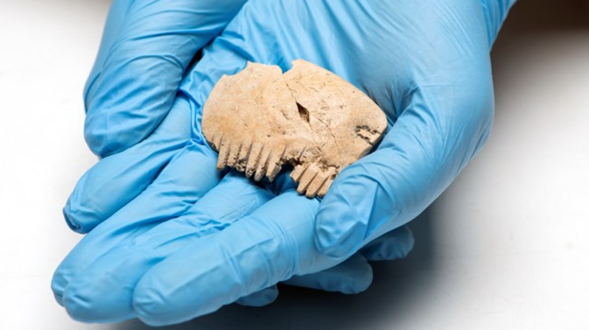 An ancient bone comb made from a human skull was discovered in England, archaeologists said.
