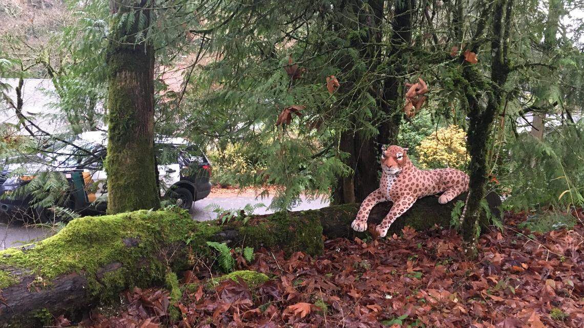 A neighbor reported seeing a “big cat with spots” near a Portland road, the Multnomah County Sheriff’s Office said. The cat was a large, life-like stuffed animal.
