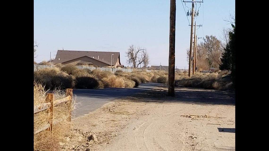 Hundreds of tumbleweeds blew across roads, blocking traffic from getting through in Garden City, Kansas. Photo from Carmen Morillo Hickman.