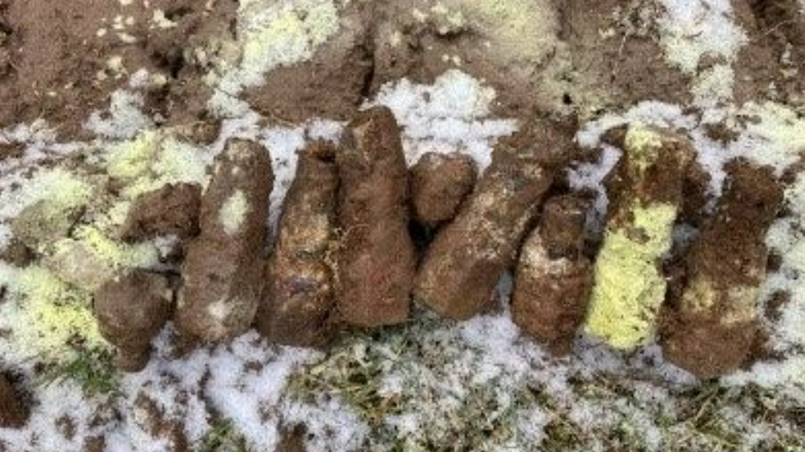 An archaeologist discovered nine unexploded bombs in a field in Germany, triggering a police response, officials said.