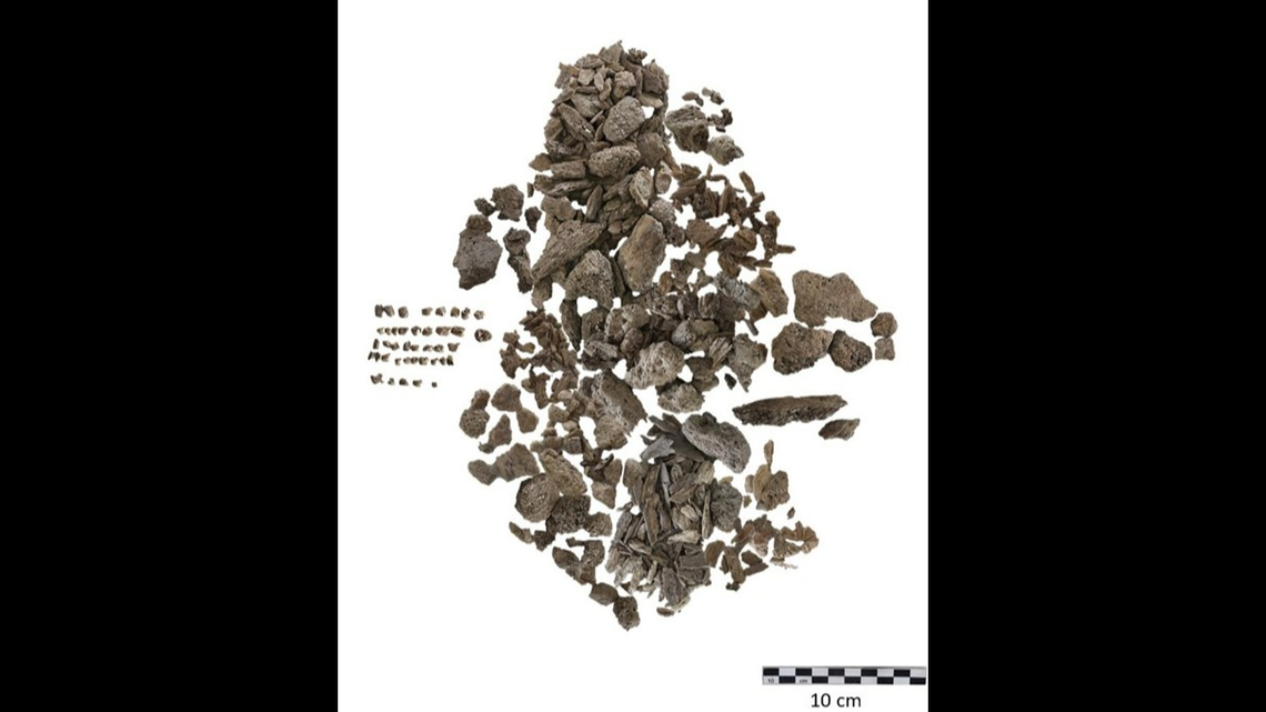 Experts said they used dental remains to test the enamel and determine the burial’s gender.