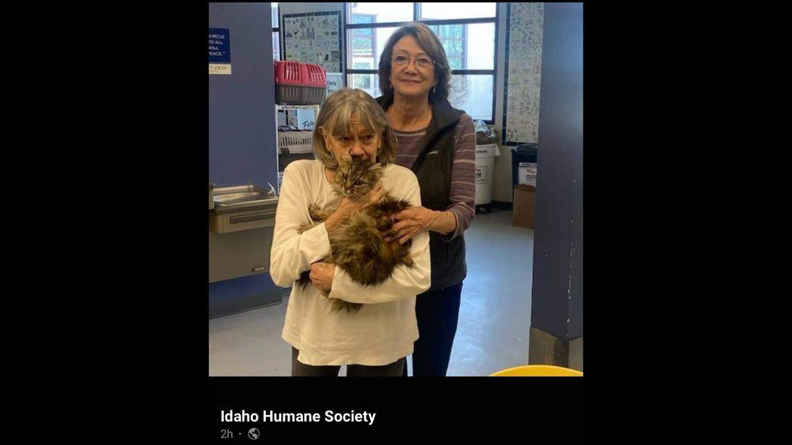 Remi, a long-haired cat, disappeared from over a year ago. Then it showed up at the Idaho Humane Society and was reunited with its owner.