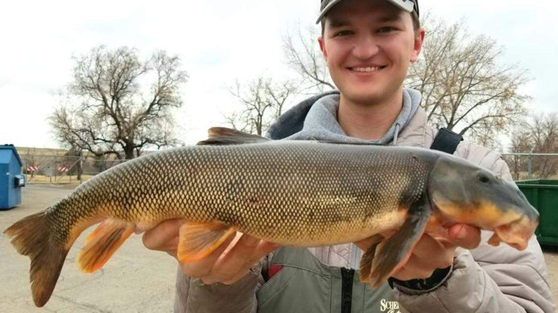 A 3.42 pound, 20.1-inch longnose sucker set a Montana state record, officials said.
